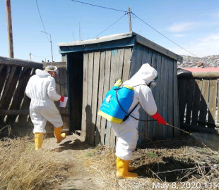 96383730_613953269195945_381687305439543296_n