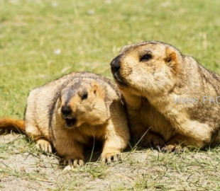 712-1595552450712-1534209417f16b911863e52f4fe3e21be71f1e1c42