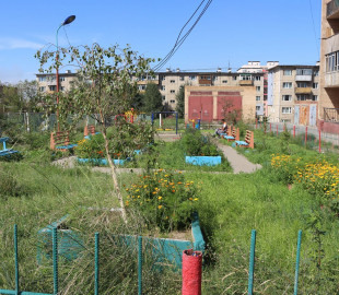 116942713_226953258554296_7639841261375729623_n