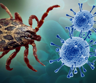 maxresdefault (1)_20200814142608