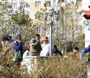 6517647278435163018_800_x_416