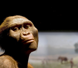 126289420_4676149592456076_289840133965550233_o