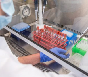 16042882165f9f7ed8e0ab4