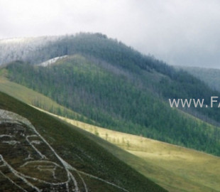 16048431175fa7f66d9b083