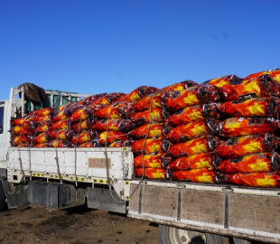 16097335945ff295da75c5f