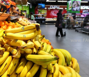 712-16183795936076794a66334