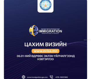 Гадаадын иргэдэд цахимаар виз олгоно
