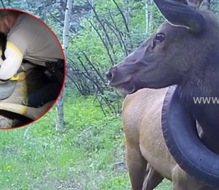 9dcb322158cbc073cf3084e4d0e8df70