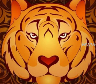 712-1643323066Бар-жилийн-өнгө-зурхайд-ингэж-буужээ