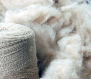 136028360_216896963394496_6070089952413958671_n