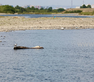 10b5502d17cd55de293eb268d9e8a1cf7