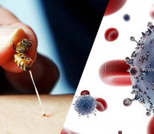 11“Зөгийн эмчилгээг бусад аргуудтай хавсарвал илүү үр дүнтэй”