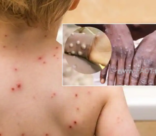 e65393d8cdc6b74c77a552d463459173