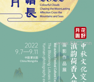 7c827di5b46561pgtsfh4n7j1b_b