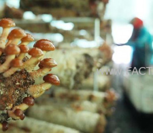 2441lukf05225nrudsf7mrprsd_b