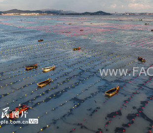 7ejob56rgh3oshu1d7afsnrg8n_b