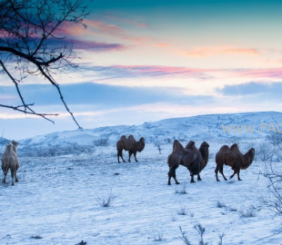 712-167538948900e066bdf50c19e0177001