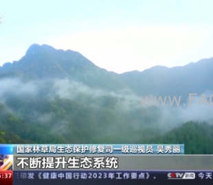 32686dh6al1g440npu3sqhur0n_b