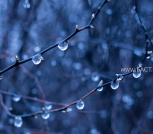 4533ace45539066b7a776d718ed7dfed_x3