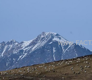 4ackp8jldh7o6h34o7m9ukg2e6_b