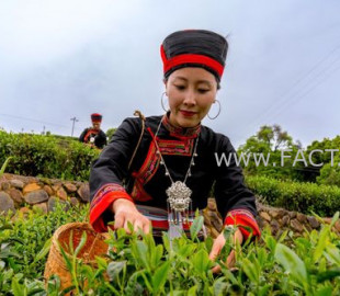 5ceo7240b44v5las9oo2pp5f3i_b