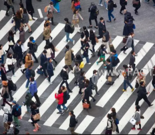 bl1iop94910li83vi0ner45t6_b