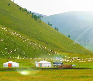 a54960d31c6864194aea4797c4a7c087