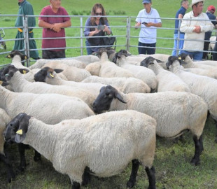 64d9c4a578a6a4593d74de0f-810x500