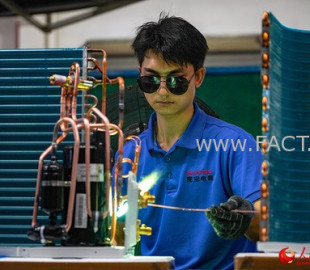 cutbu6a8bf2ancfmq47lr16pu_b