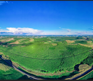 371266141_323617793584433_2283773518687779484_n