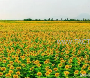 1a4f7p0q7tig1bn0c4i4h9ruko_b