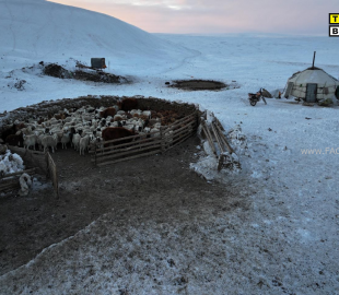 image_2024-02-27_090825060