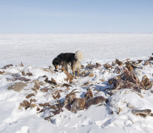 zDXprsX3QENoihA5dvws