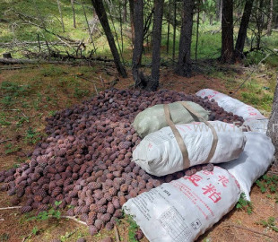 5e9288a9d01f419d1ca6befe5d0396f7