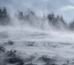 e3a53e3aae587d5d3e0d4e1037805845_x3