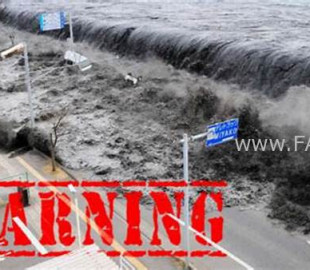 OIP-2025-04-08T094208.912